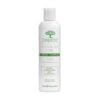 Druide Tea Tree Oil Care Shampoo